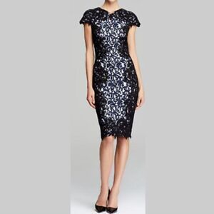 Tadashi Shoji Lace Overlay Sheath Dress Navy Black Sz 8 Formal Cocktail Elegant